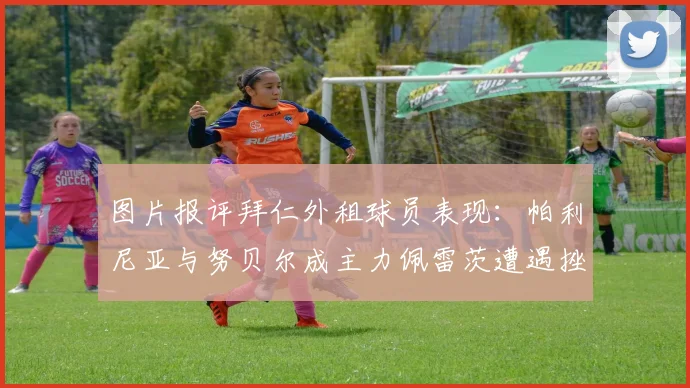 图片报评拜仁外租球员表现：帕利尼亚与努贝尔成主力佩雷茨遭遇挫折