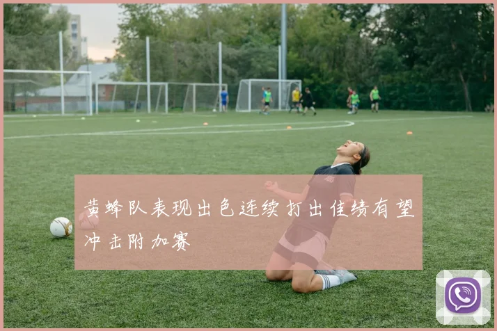 黄蜂队表现出色连续打出佳绩有望冲击附加赛