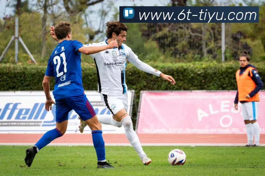 6t体育平台生态图