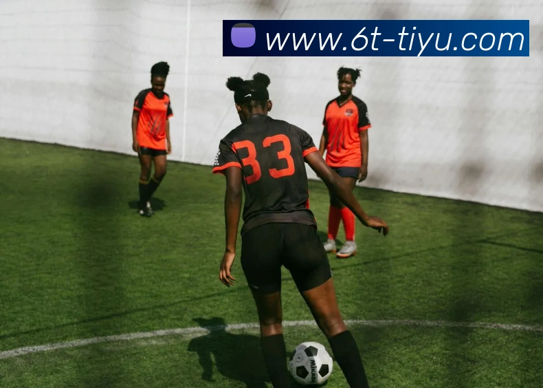 6t体育APP 封面图